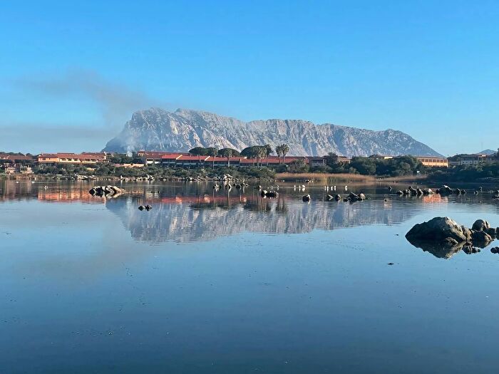 Appartamento trilocale in vendita in San Teodoro