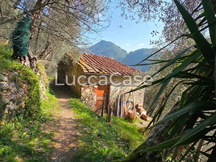 Casa quadrilocale in vendita in Torcigliano, Camaiore