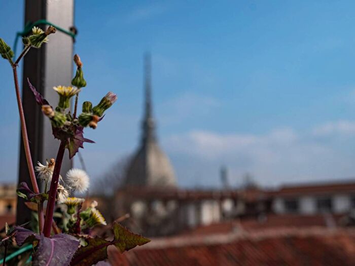 Appartamento monolocale in affitto in Via San Francesco di Paola, Via della Rocca, Torino