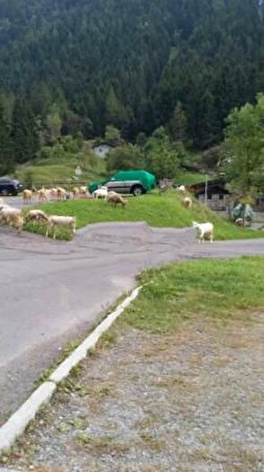 Appartamento con 6 locali in vendita in Via Adamello, Saviore DellAdamello