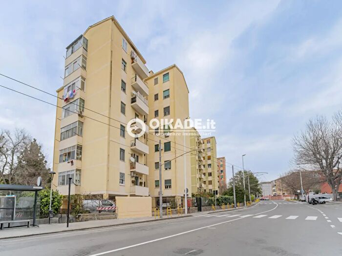 Appartamento quadrilocale in vendita in Via Quirra, Cagliari