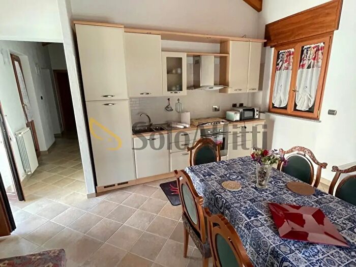 Appartamento quadrilocale in affitto in Via Adria Snc, Grugliasco