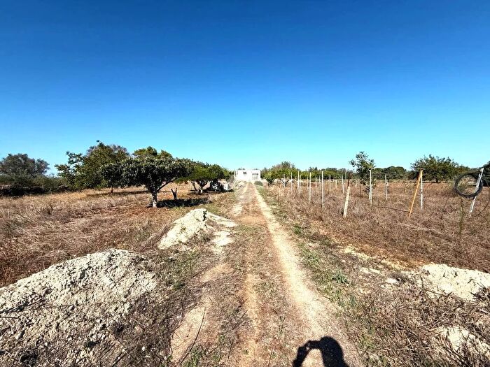Casa monolocale in vendita in Contrada Bosco Colombo, Mesagne