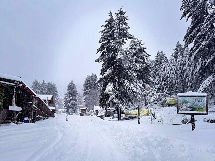 Appartamento monolocale in affitto in Villaggio Palumbo, Cotronei