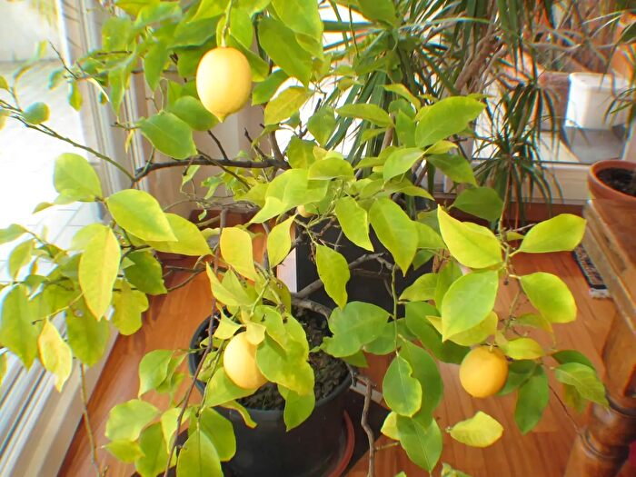 Appartamento con 5 locali in vendita in Via Druso, Bolzano