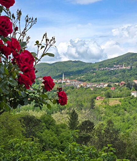Appartamento con 5 locali in vendita in Carro