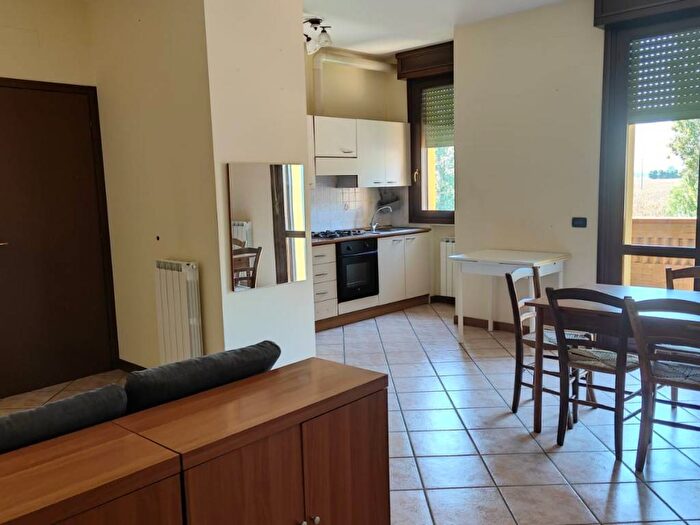 Appartamento trilocale in affitto in Ravarino