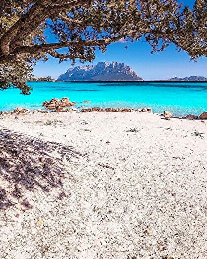 Appartamento quadrilocale in vendita in Porto Istana, Olbia