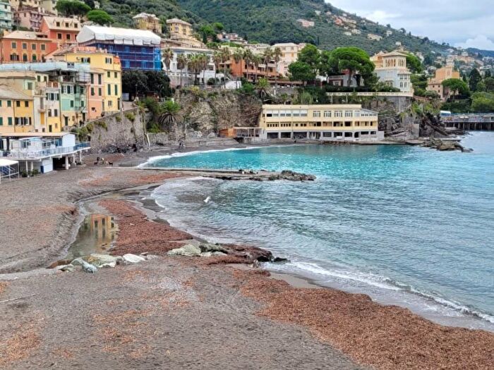 Appartamento quadrilocale in affitto in Via Ammiraglio Giovanni Bettolo, Centro, Bogliasco