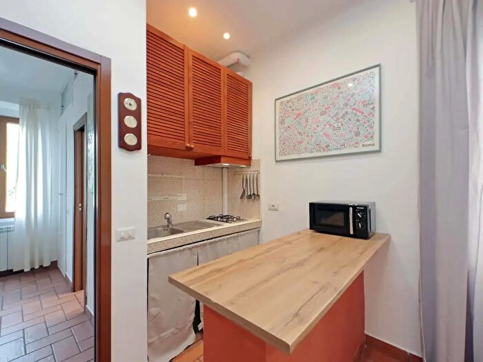 Appartamento monolocale in affitto in Via Homs, Roma