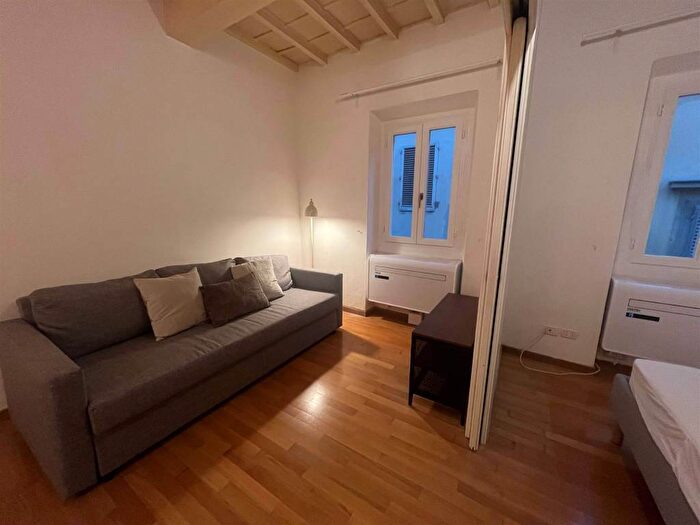 Appartamento bilocale in affitto in San Frediano, Firenze