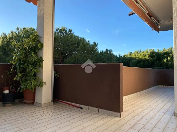 Appartamento bilocale in affitto in Viale Arianna, Cervia