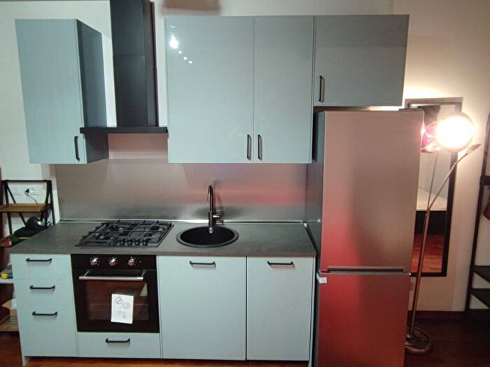 Appartamento monolocale in affitto in Via del Borgo di San Pietro, Irnerio, Bologna