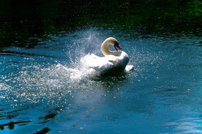 Appartamento trilocale in vendita in Silea