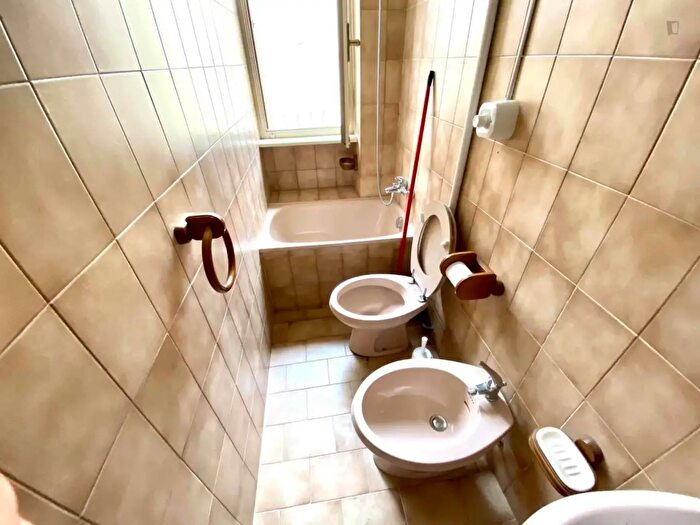 Appartamento monolocale in affitto in Via Monginevro, Torino