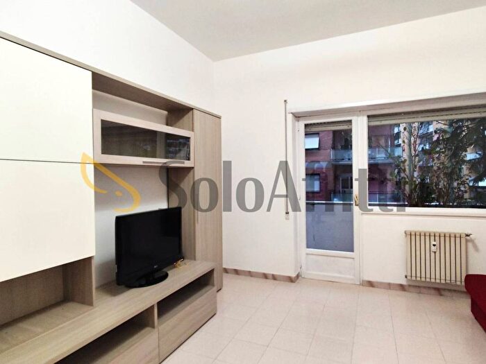 Appartamento trilocale in affitto in Via di San Romano, Casal Bruciato, Roma