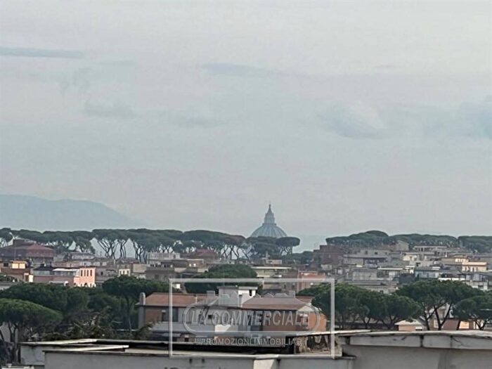 Appartamento bilocale in affitto in Via Pasquale II, Torrevecchia, Roma