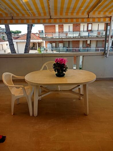 Appartamento bilocale in affitto in Massa