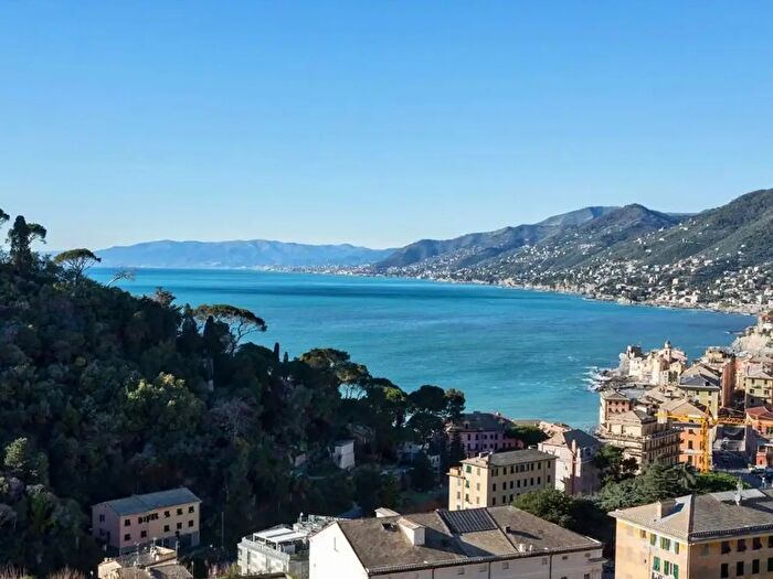 Appartamento con 6 locali in affitto in Via Pietro Risso, Camogli