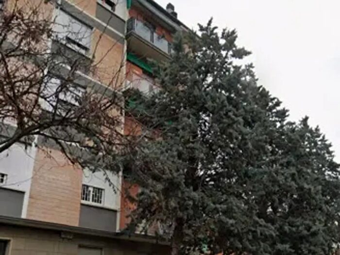 Appartamento quadrilocale in affitto in Bologna