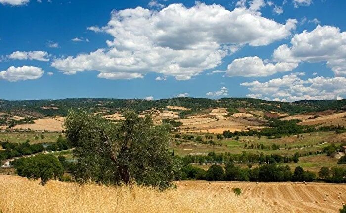 Casa in vendita in Cinigiano