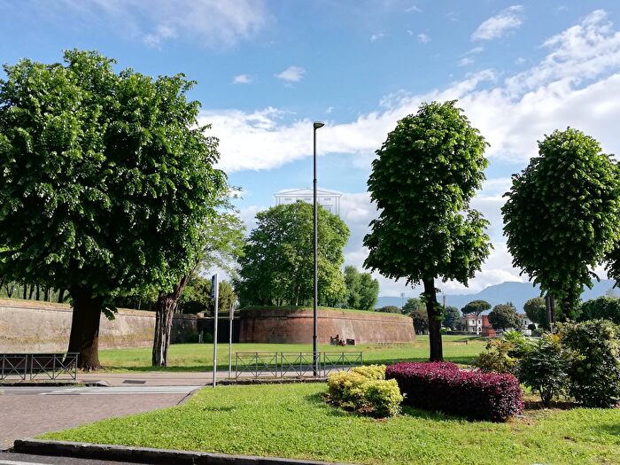 Appartamento con 10 locali in vendita in Piazza San Michele, Lucca