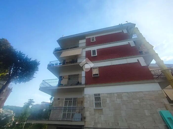 Appartamento quadrilocale in affitto in Viale Colli Aminei, Napoli