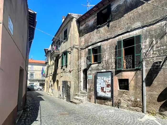 Appartamento trilocale in vendita in Via del Plebiscito, Valentano