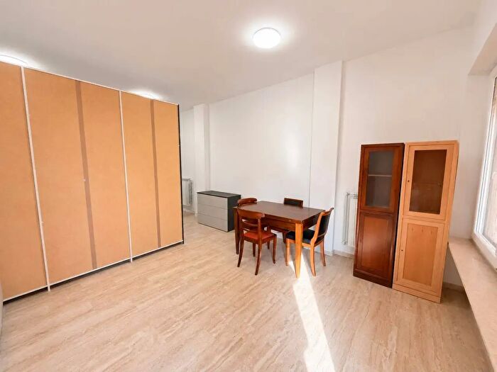 Appartamento monolocale in affitto in San Giacomo Delle Segnate