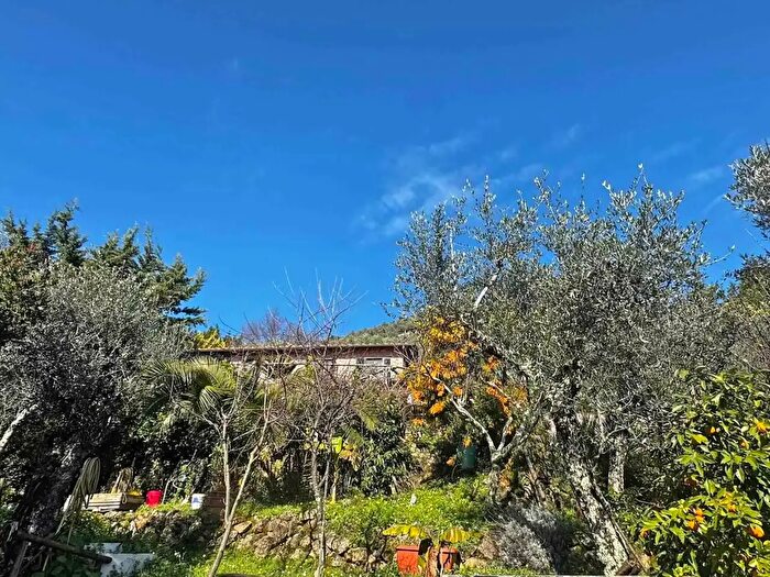 Casa con 5 locali in vendita in Via Montebello, Camaiore