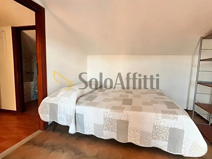 Appartamento bilocale in affitto in Via Caffarini, Siena