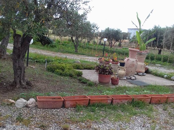 Appartamento quadrilocale in affitto in Via Procida, Sellia Marina