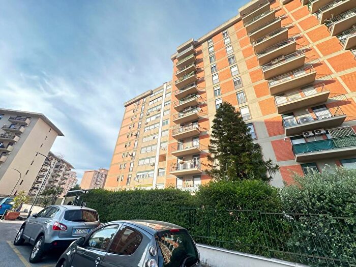 Appartamento quadrilocale in affitto in Via Bartolomeo Berrettaro, CEP Michelangelo Alta, Palermo