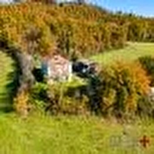 Casa in vendita in Configni