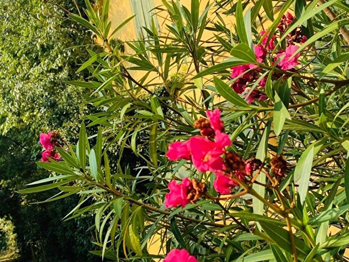 Casa con 6 locali in vendita in Nonantola