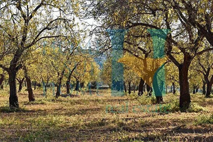 Casa in vendita in Noto