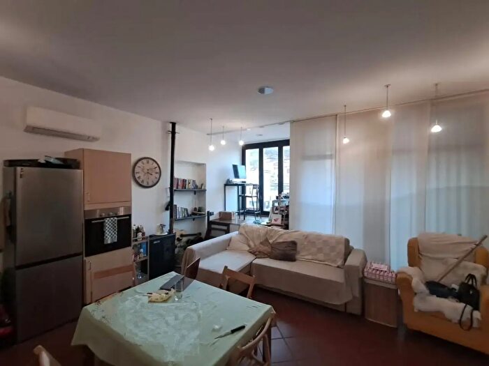 Appartamento bilocale in affitto in Vicopisano