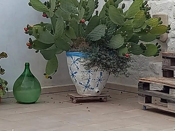 Appartamento quadrilocale in vendita in Via Perugini, Monopoli