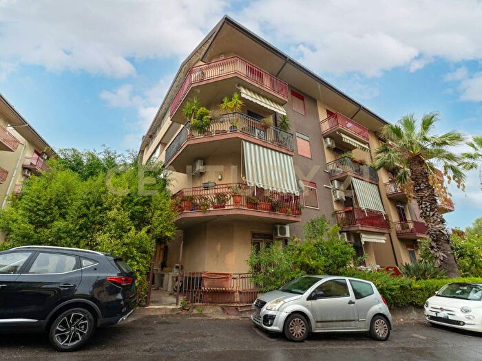 Appartamento trilocale in affitto in Via Sgroppillo, Cerza, San Gregorio di Catania