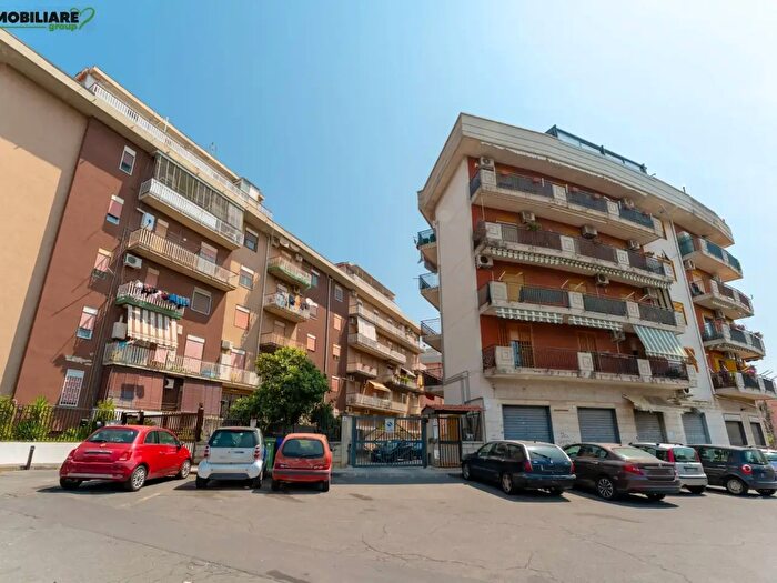 Appartamento quadrilocale in affitto in Via XXXI Maggio, Catania