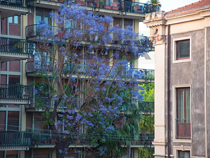 Appartamento con 6 locali in affitto in Via Basile, Catania