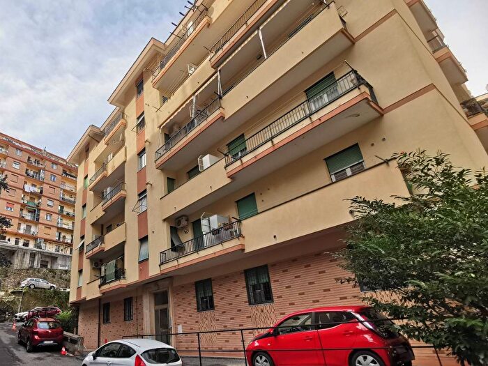 Appartamento bilocale in affitto in Via Ammarengo, Quezzi, Genova