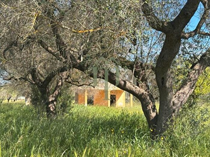 Casa con 5 locali in vendita in Contrada Monteciminiello, Francavilla Fontana