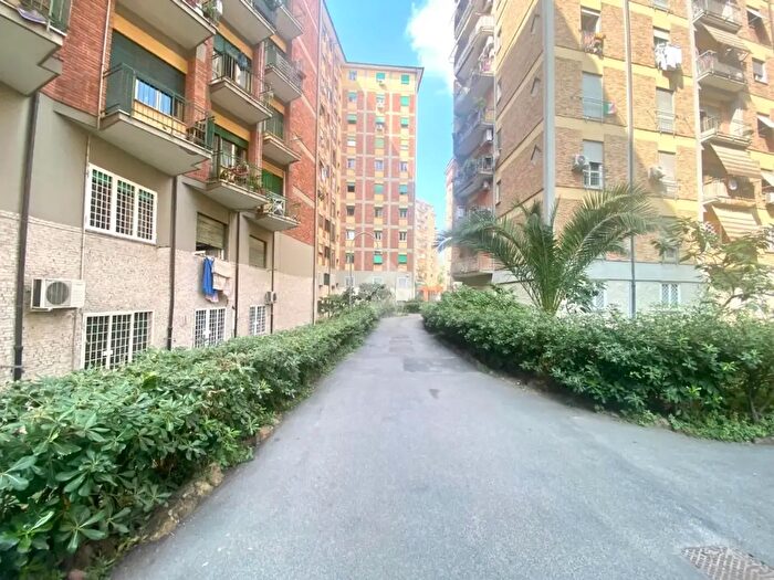 Appartamento trilocale in affitto in Via Filippo Meda, Roma