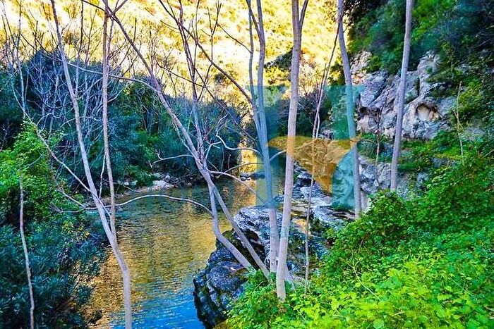 Casa in vendita in Noto Avola, Noto