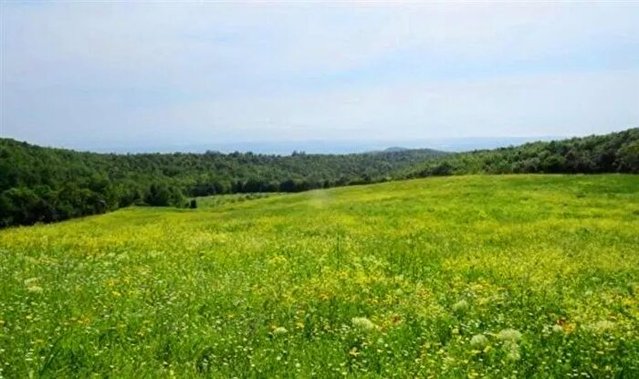 Casa con 14 locali in vendita in Castellina Marittima