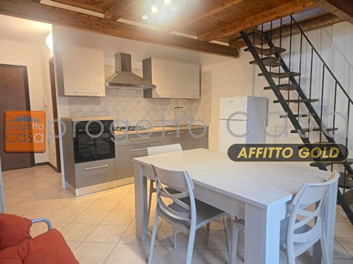 Appartamento monolocale in affitto in Centro, Spilamberto