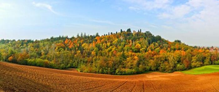 Casa con 6 locali in vendita in Via Monsignor Leone Tondelli, Albinea