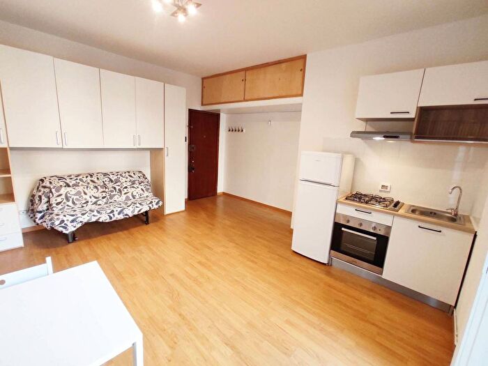 Appartamento monolocale in affitto in Via Marco Greppi, Martini Insubria, Milano