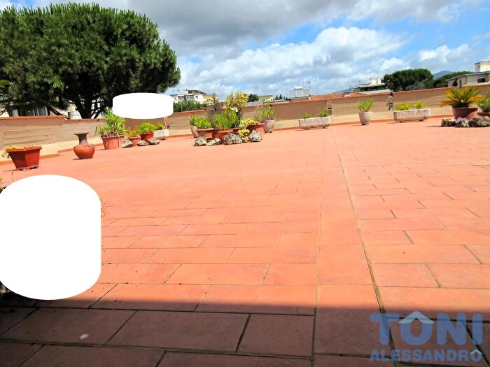 Appartamento con 7 locali in affitto in Empoli